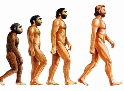 evolucija_zajednicki_predak